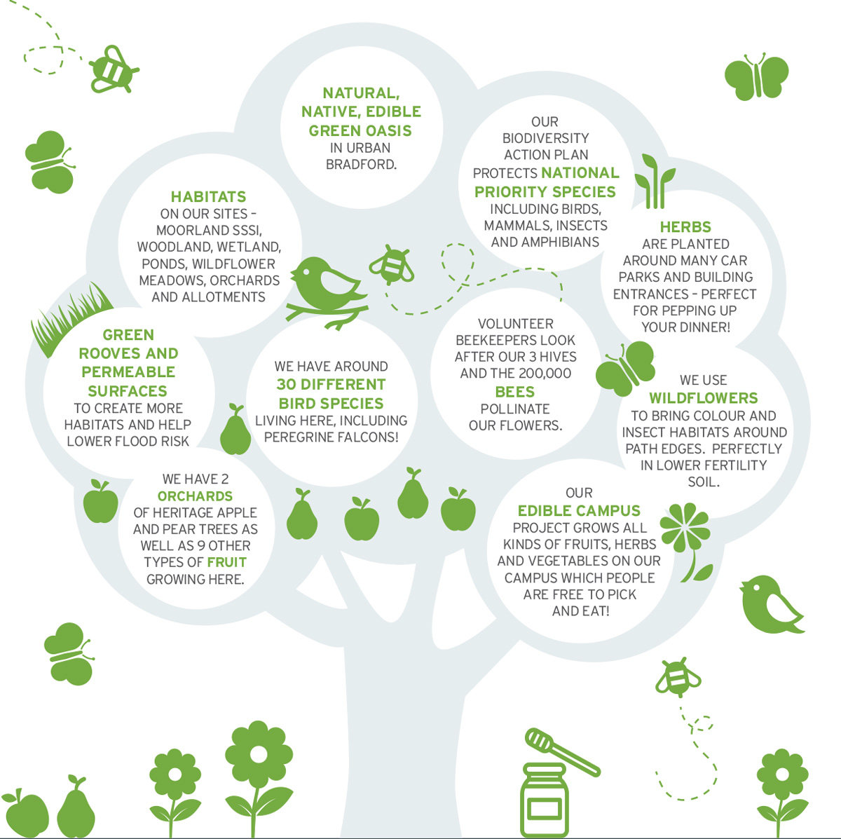 Sustainability Infographics Natural-Campus