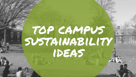 55-green-school-ideas-to-make-your-campus-eco-friendly