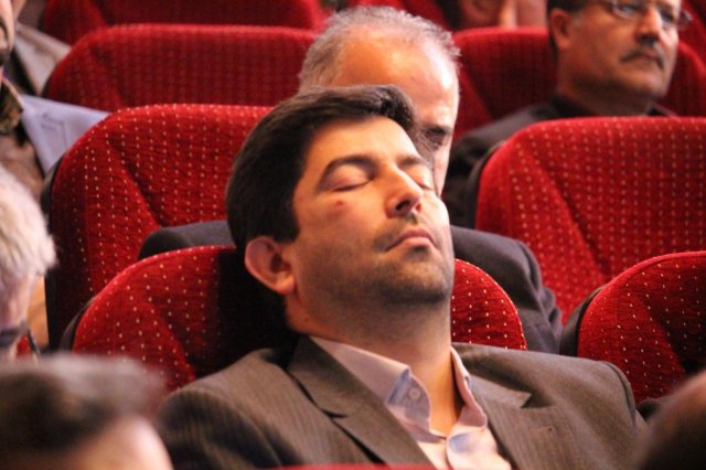 نخستین همایش بین المللی دانشگاه سبز-دانشگاه فردوسی مشهد (142)